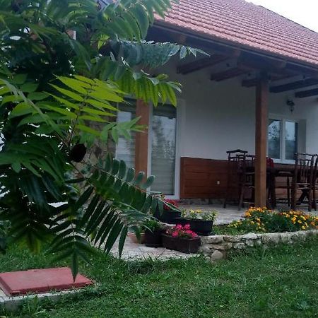 Nektar Park Villa Sara Bihać Exterior foto