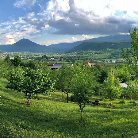 Nektar Park Villa Sara Bihać Exterior foto