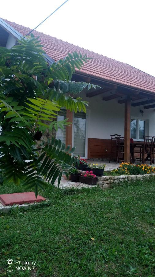 Nektar Park Villa Sara Bihać Exterior foto