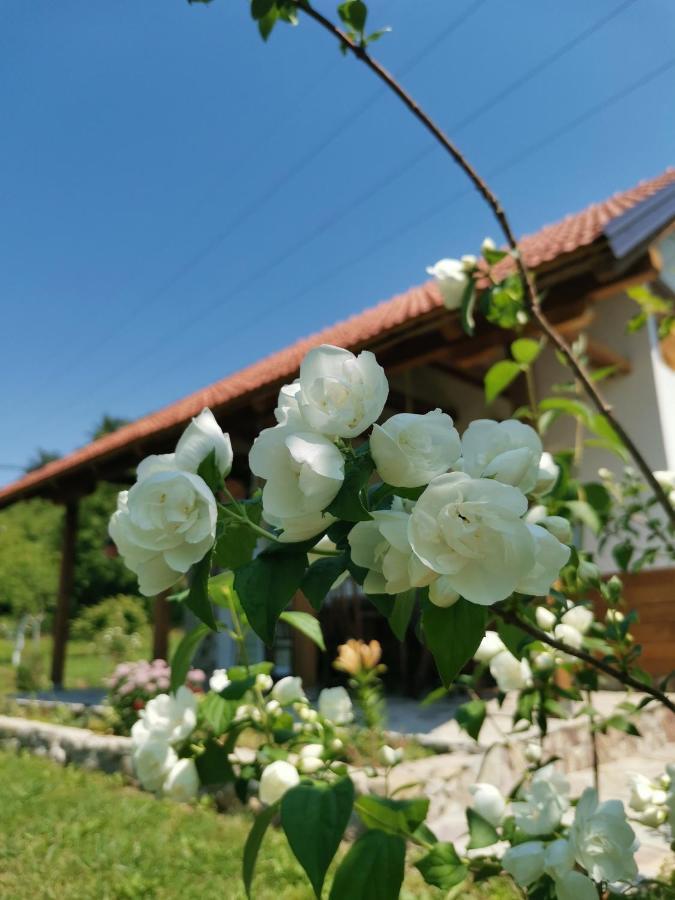 Nektar Park Villa Sara Bihać Exterior foto