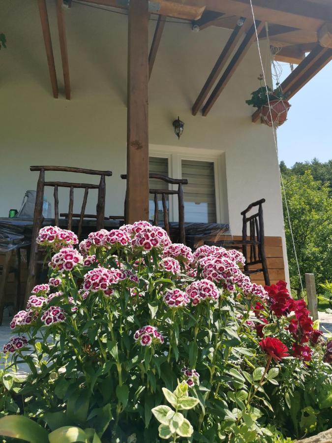 Nektar Park Villa Sara Bihać Exterior foto