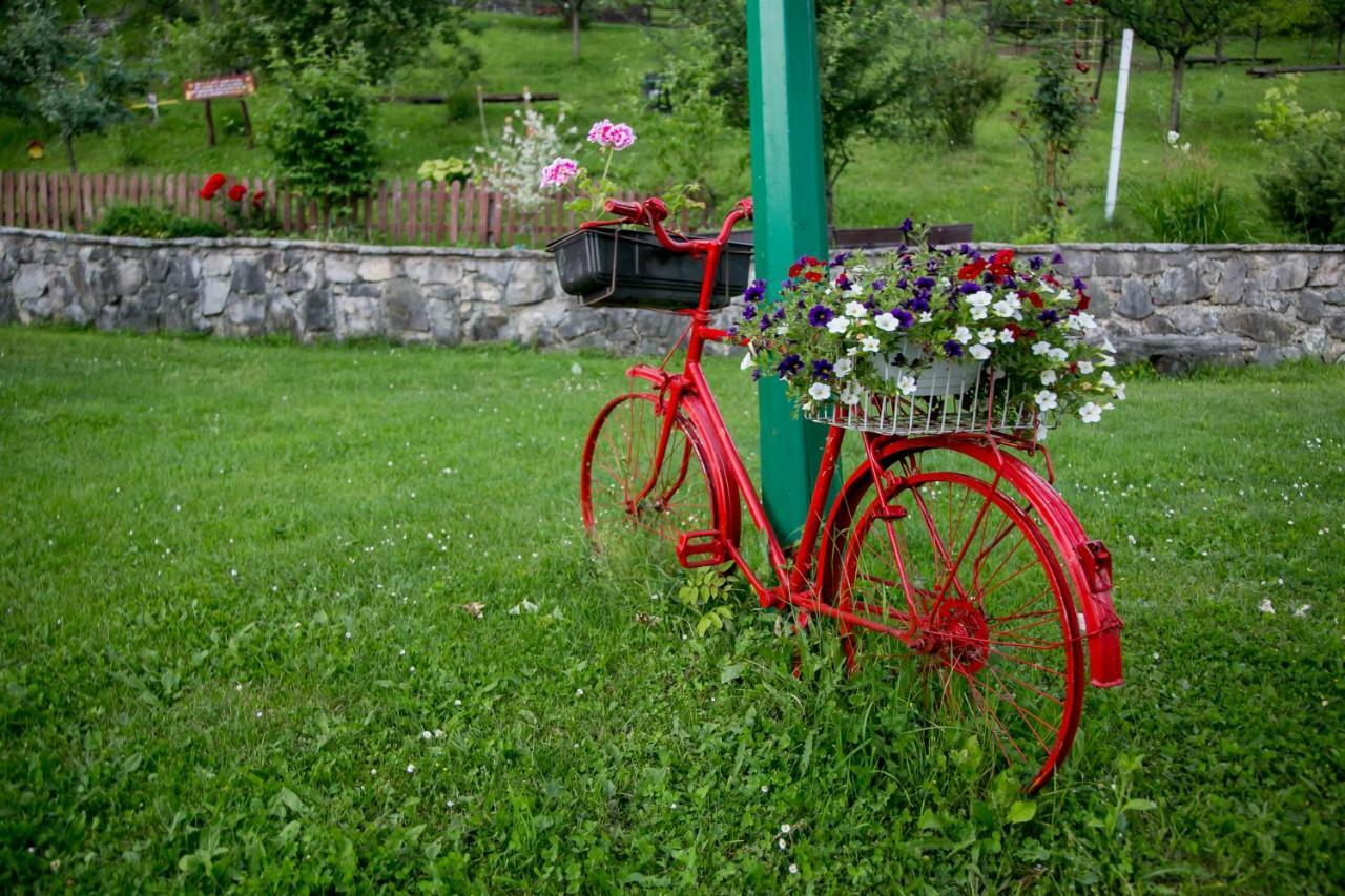 Nektar Park Villa Sara Bihać Exterior foto