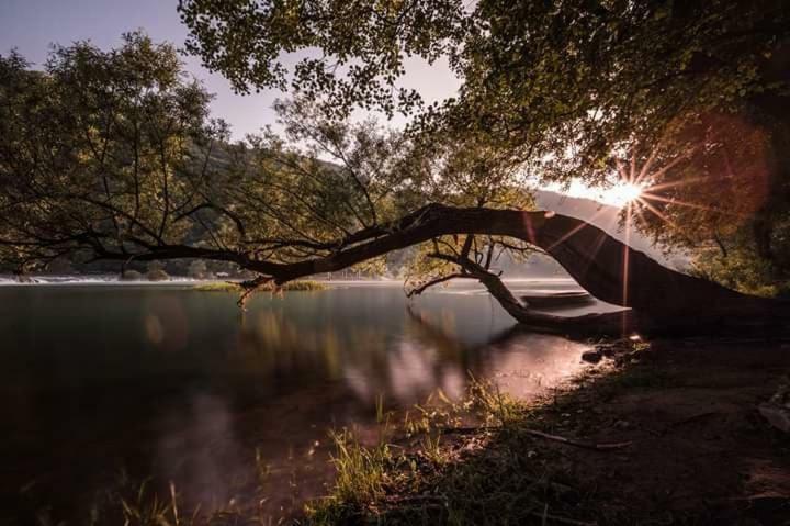 Nektar Park Villa Sara Bihać Exterior foto