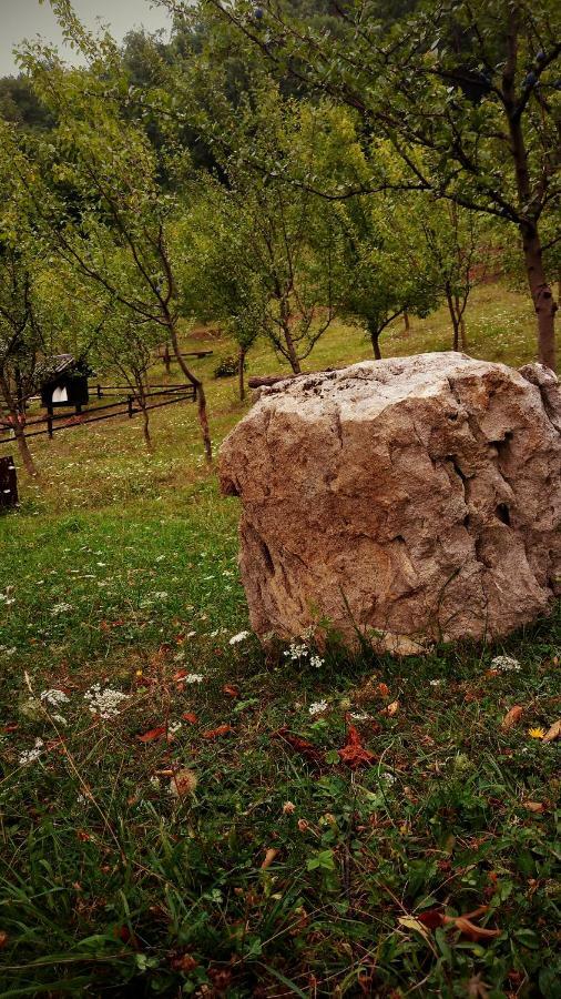 Nektar Park Villa Sara Bihać Exterior foto